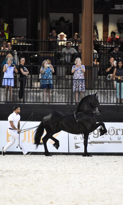 Ivan and Andrew At Tryon International