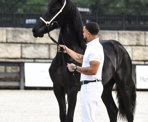 Niki boy and Andrew at Tryon International