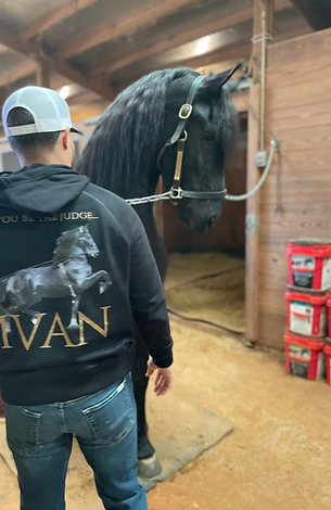 Sweat-shirt