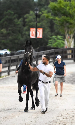 Niki boy and Andrew At Tryon International